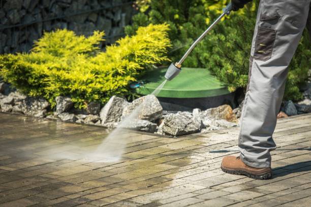 Best Driveway Pressure Washing  in Panthersville, GA