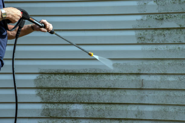 Reliable Panthersville, GA Pressure Washing Services Solutions