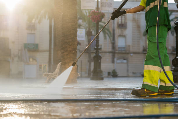 Best Sidewalk and Walkway Cleaning  in Panthersville, GA